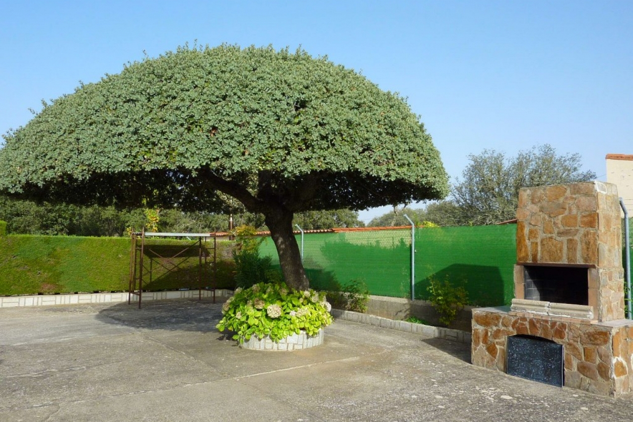 Imagen del Inmueble
