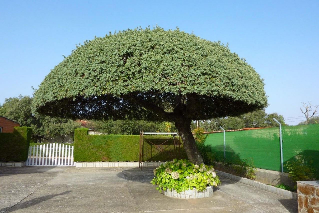 Imagen del Inmueble